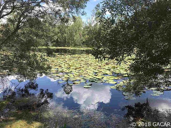 5th image of 310 Star Lake Dr