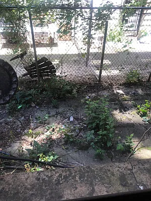 Rented by Urban Real Estate Property Group Inc | media 23