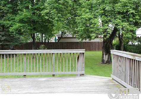 ORIOLE BACKYARD 1.jpg