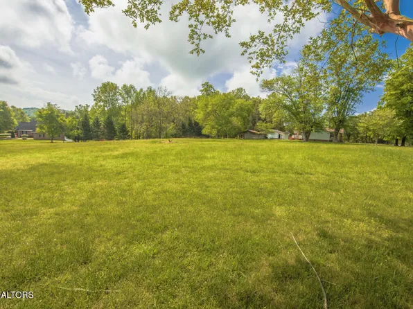 Swan Pond, Harriman, TN 37748