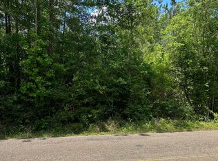 Sones Chapel Rd, Carriere, MS 39426