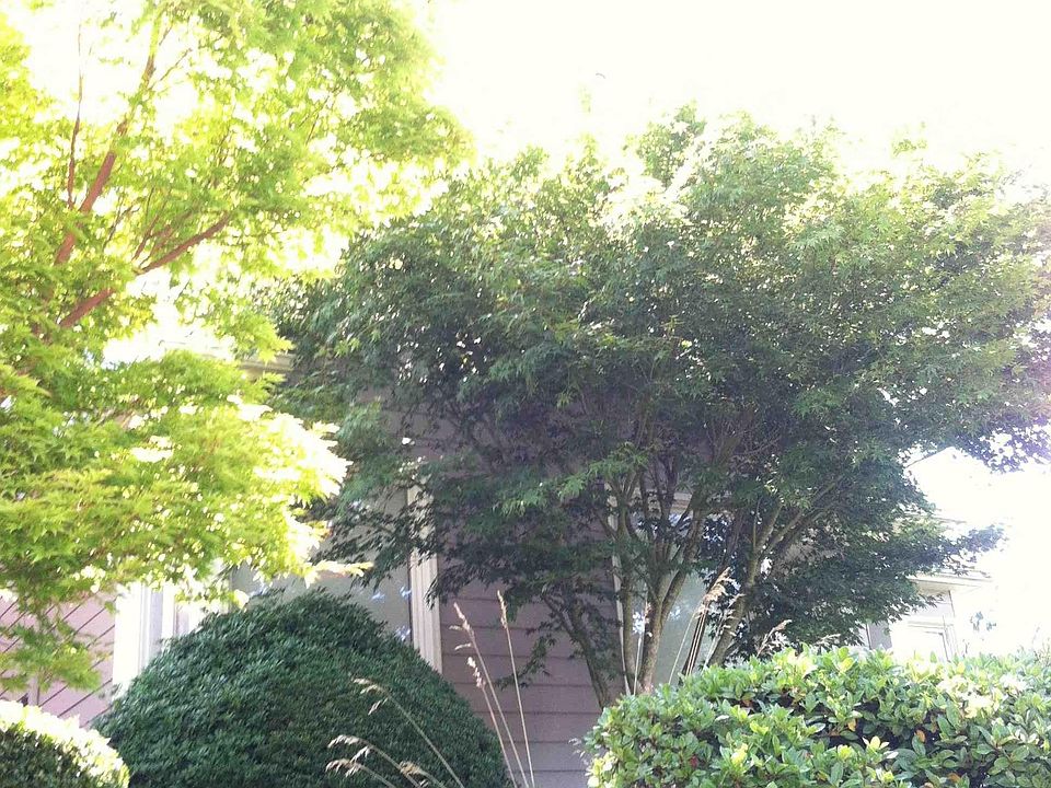2nd image of 8214 4th Ave NE