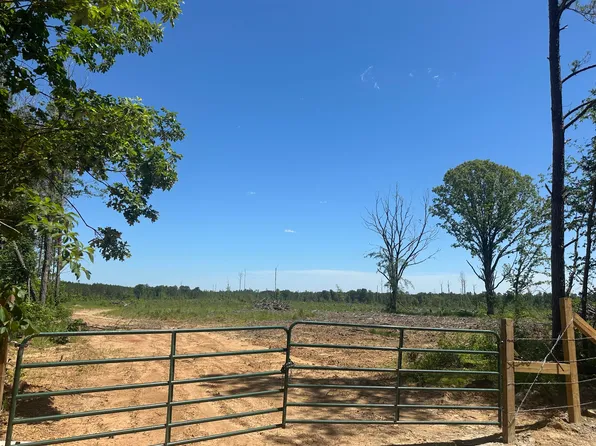 Bluitt Rd, Maben, MS 39750