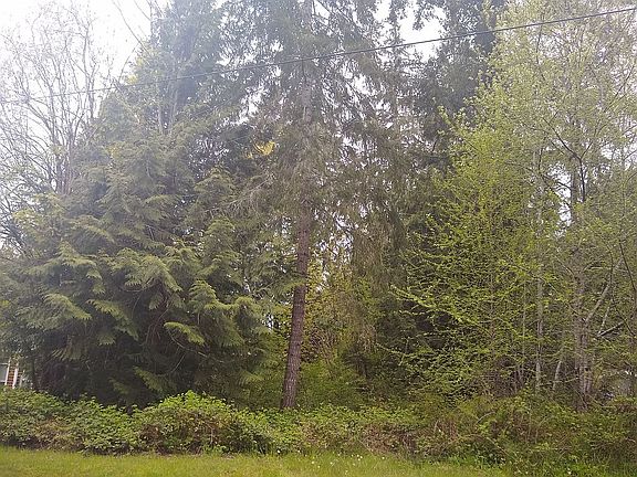 2nd image of 470 E Wood Ln #15