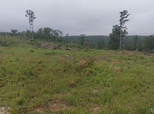 11 Tract Off, Belleview, MO 63623