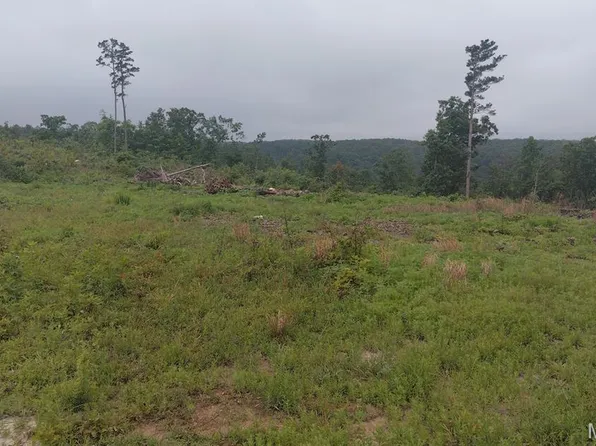 11 Tract Off, Belleview, MO 63623
