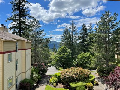 4081 224th Ln SE APT 301, Issaquah, WA, 98029