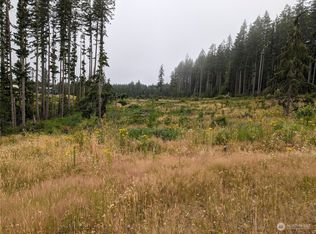 0 Headquarters Rd, Castle Rock, WA 98611