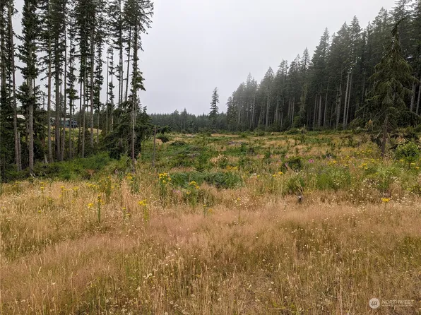 0 Headquarters Road, Castle Rock, WA 98611