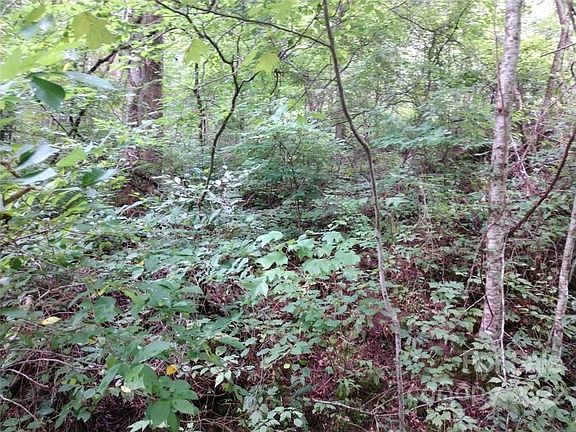 3rd image of 926 Seven Glens Dr Lot 38B