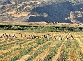 830 Old, Mack, CO 81525