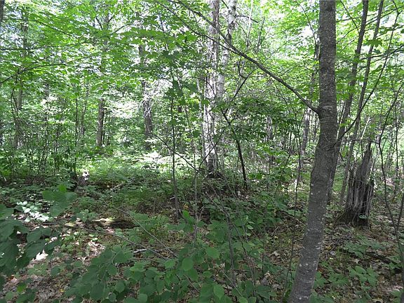 4th image of 6154W Hunter Lake Road