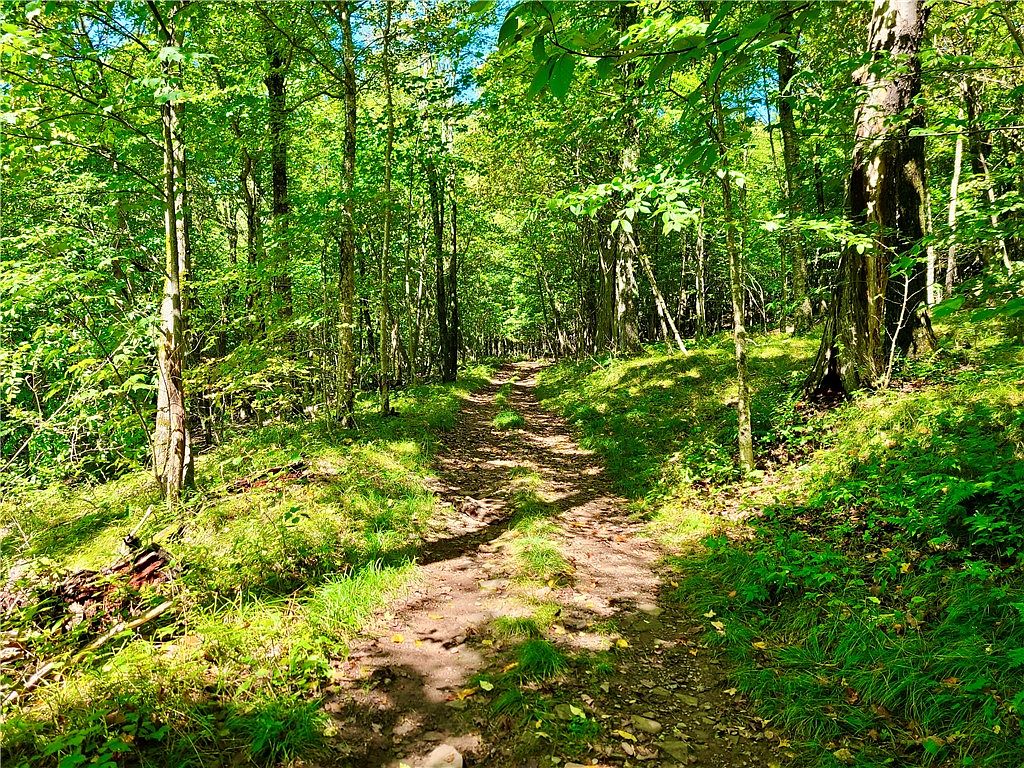 356 Betty Mountain Rd, Fleischmanns, NY 12430 Zillow