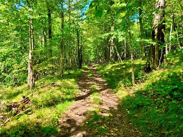 356 Betty Mountain Rd, Fleischmanns, NY 12430