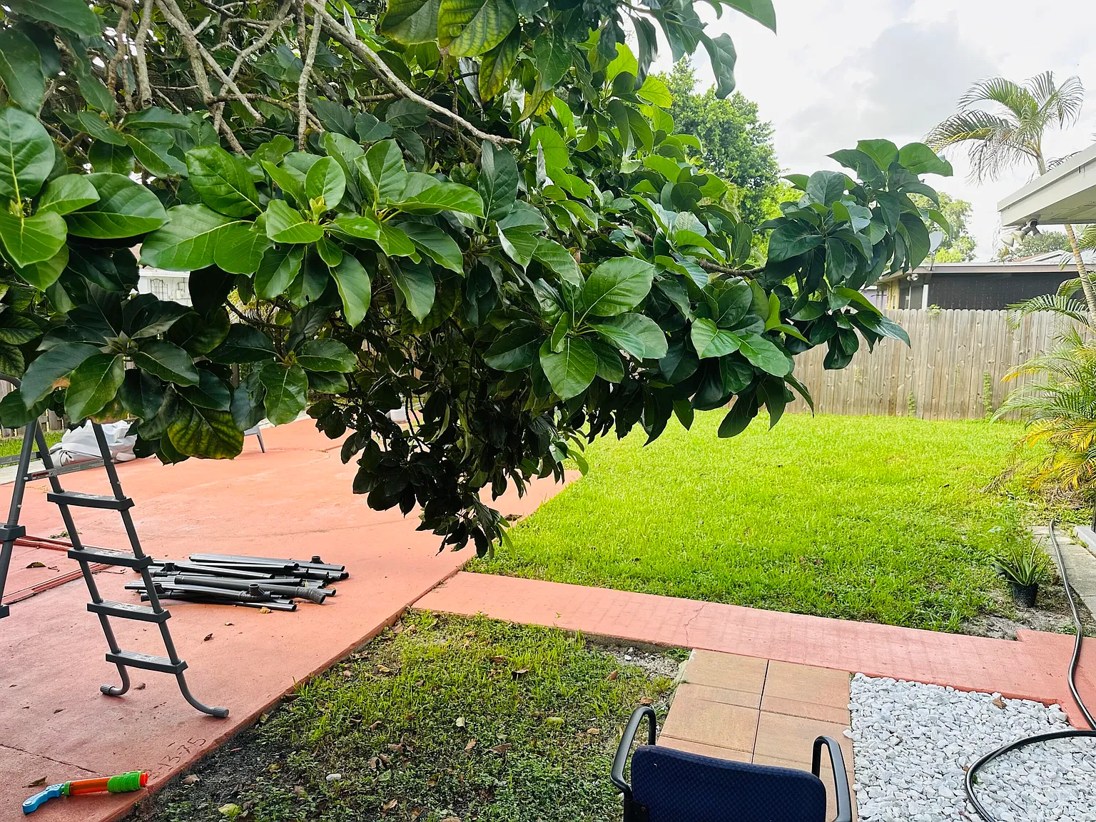 3 bed, 2.0 bath, 1760 sqft, $3,000 — Photo 4