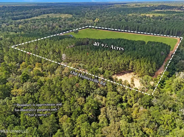 869 Old Holmesville Rd, Tylertown, MS 39667