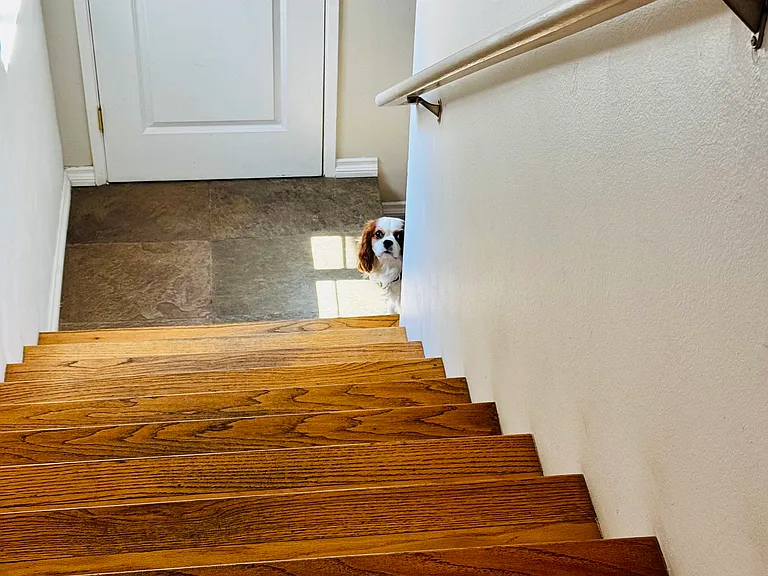 Stairs from foyer to living area.