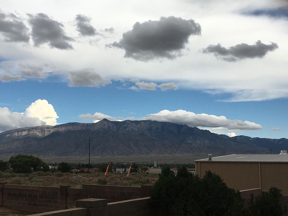 View from living room and back yard