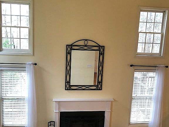 Wood burning fireplace