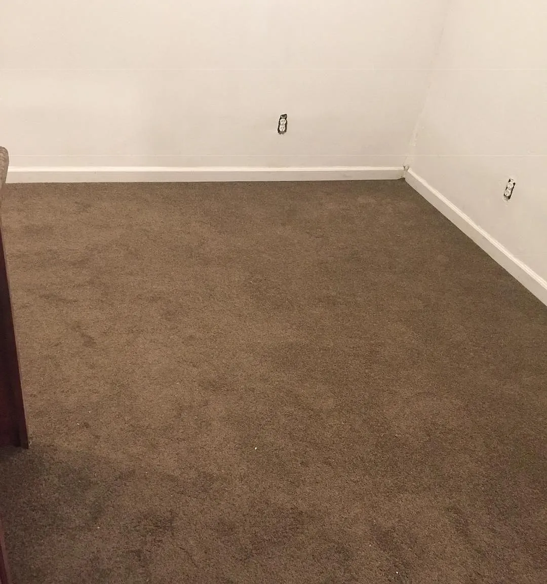 4337 E Paradise Ave — Photo 4