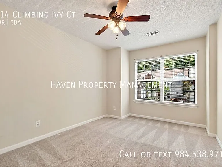 214 Climbing Ivy Ct — Photo 25