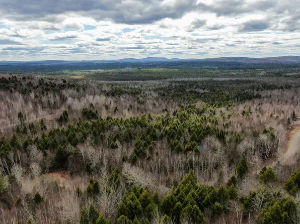 Lot 16 Upper Dobsis Road, Lakeville, ME 04487
