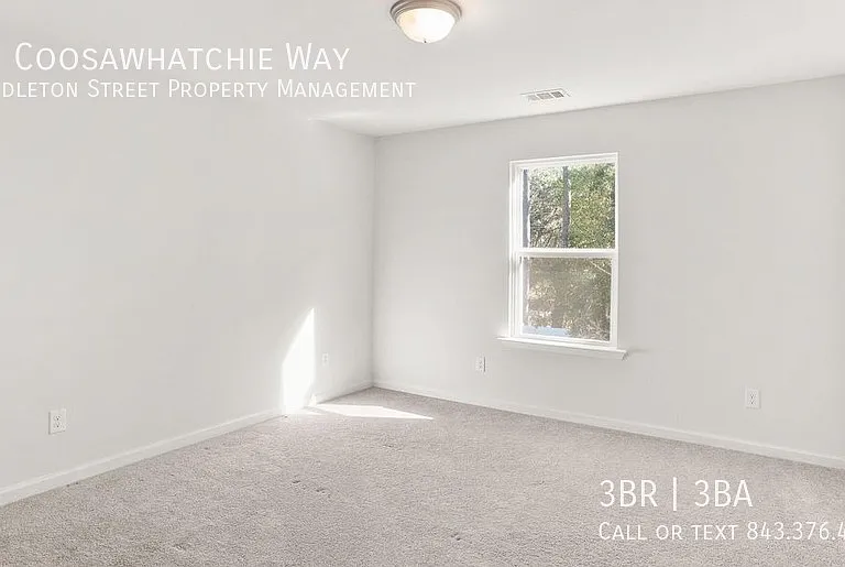 16 Coosawhatchie Way — Photo 23