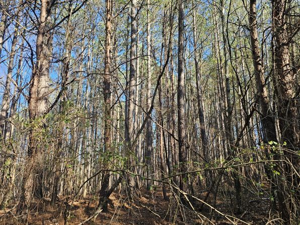 0 Highway 13 N, Eldridge, AL 35554