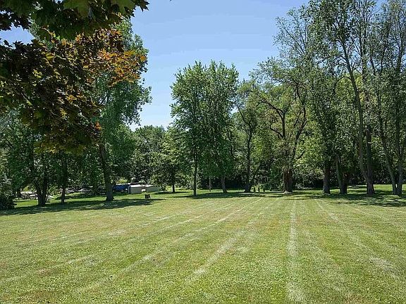 backyard summer