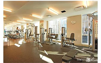 Rented by Maison International