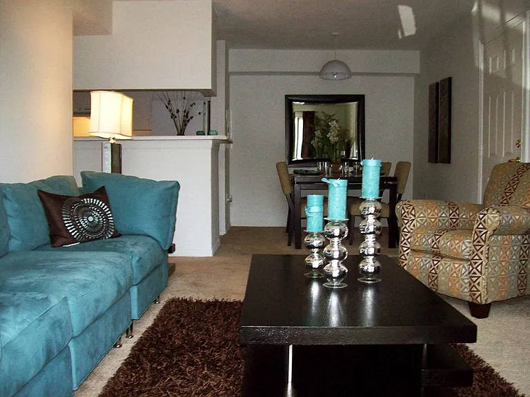 Cypress Trace — Photo 8