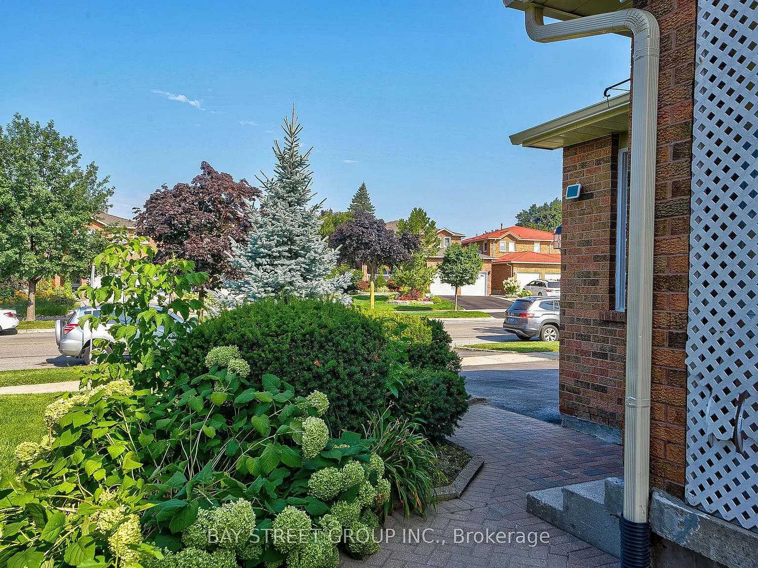 1 bed, $1,200 — Photo 2