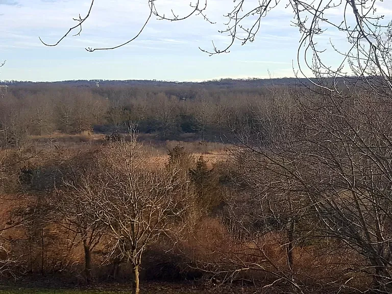 Peaceful setting