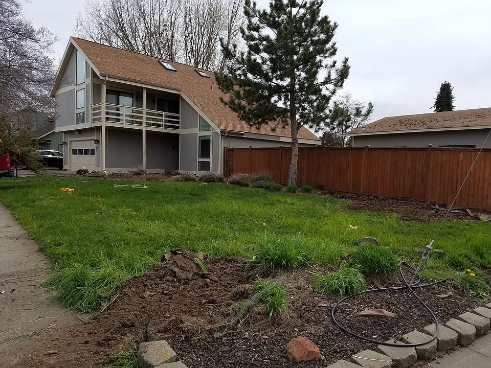 Just started updating yard