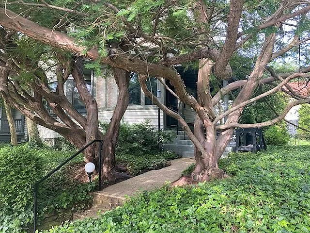3452 Burch Ave — Photo 3