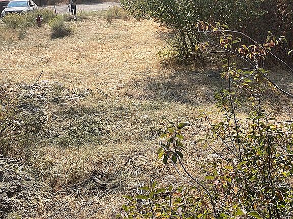 Huge bottom last lot