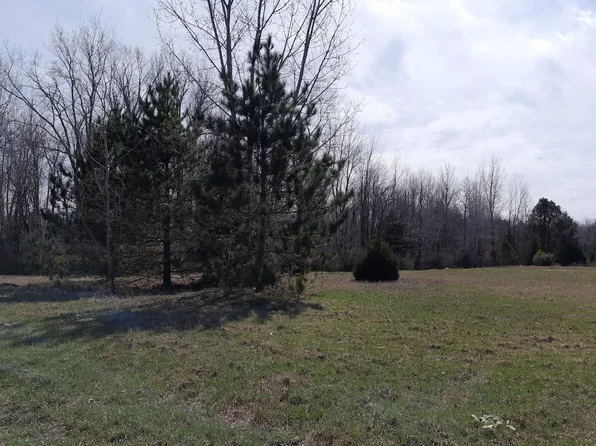Vl State Rd, Vassar, MI 48768