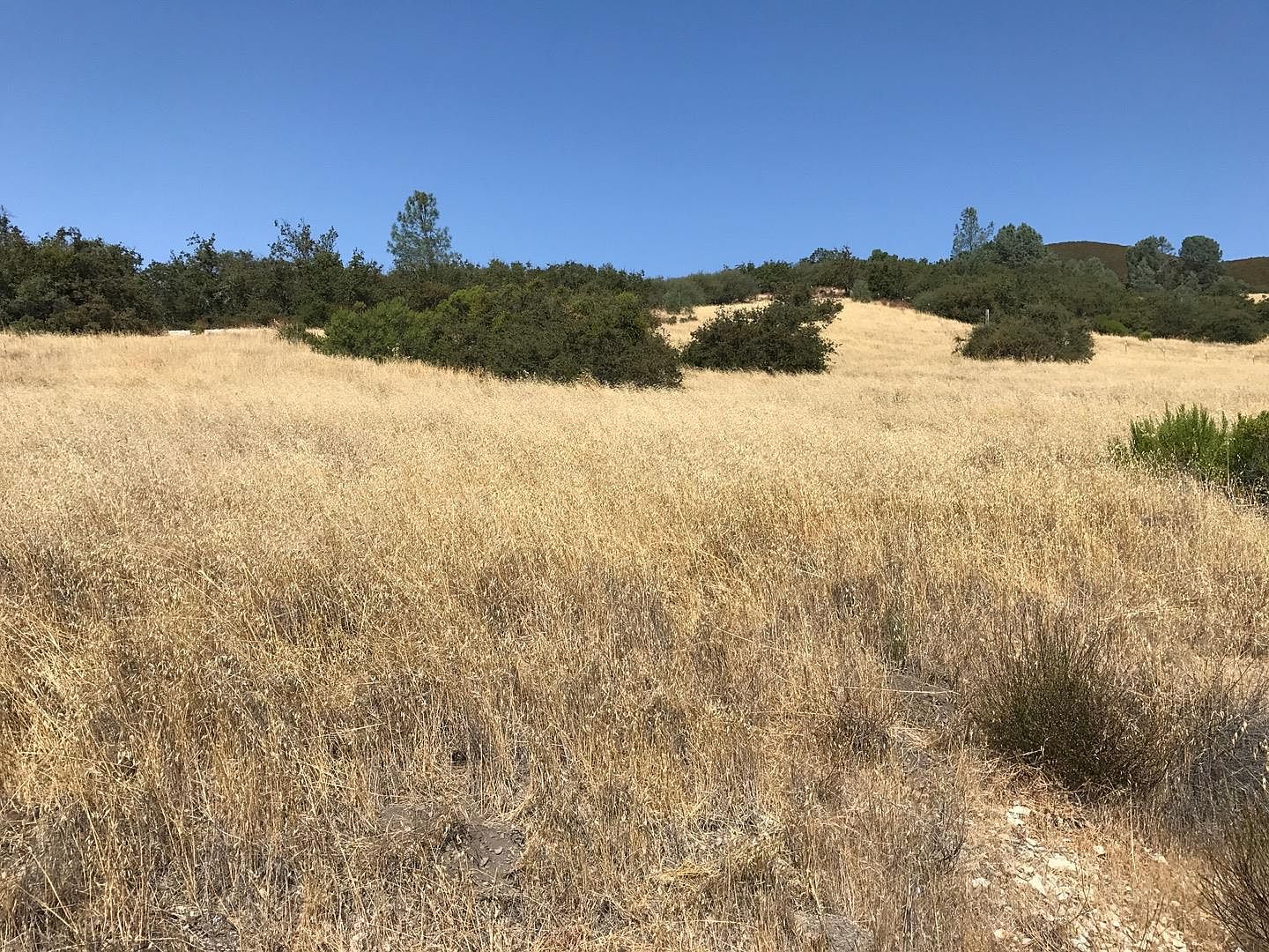 Jolon Rd, Jolon, CA 93928 Zillow