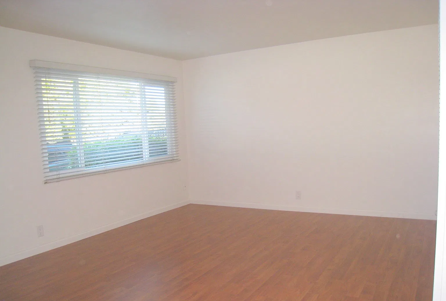 2 bed, 800 sqft, $2,950 — Photo 4