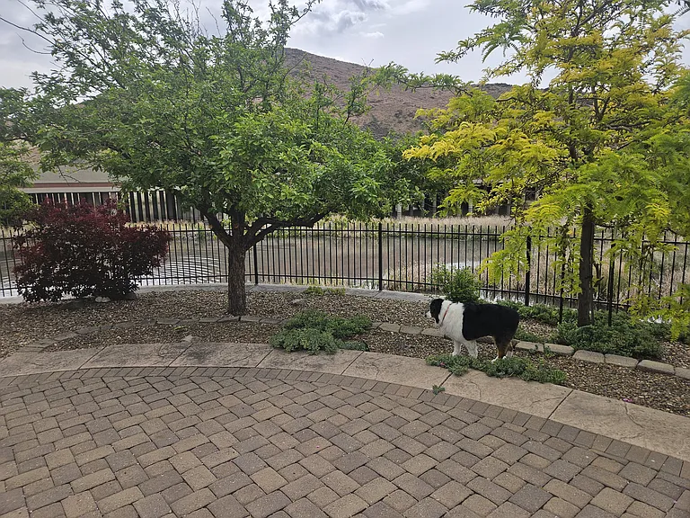 3777 Herons Landing Dr — Photo 19