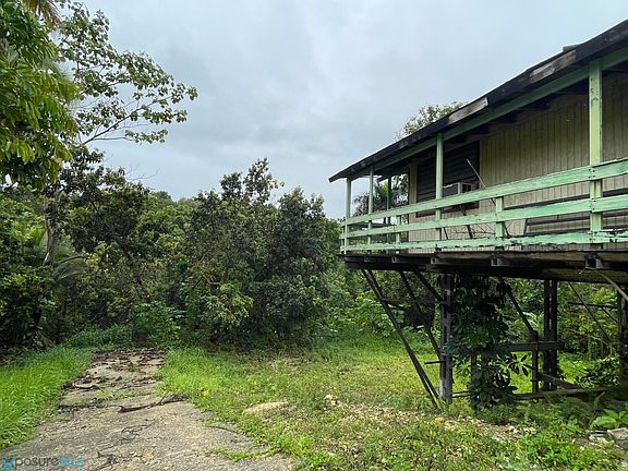 5th image of B 27 Delonix