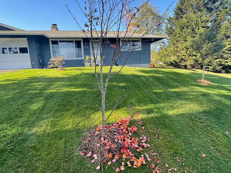 Front lawn