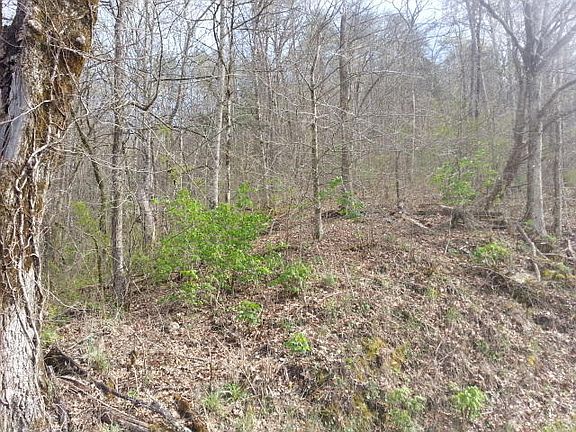 5th image of 64 Five Acres Cantwell Valley Rd