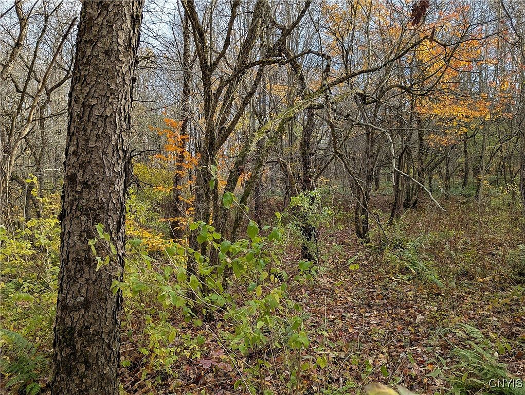 Ryan Rd Lot 33, Camden, NY 13316 | MLS #S1652748 | Zillow