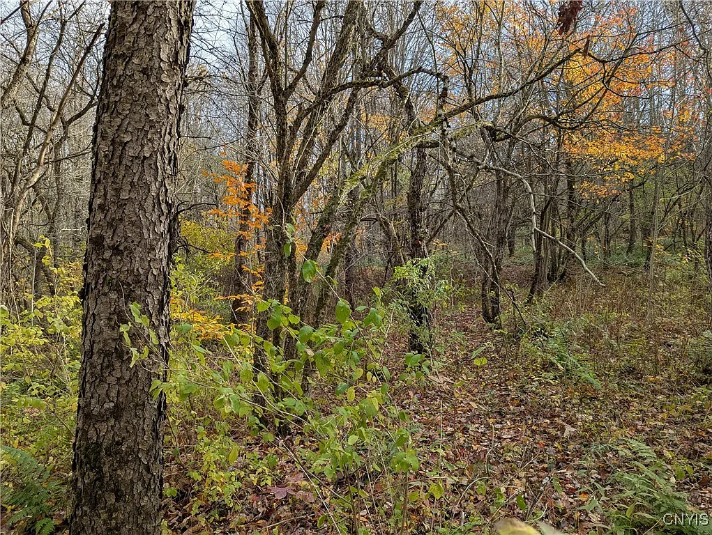 Ryan Rd Lot 33 photo 1