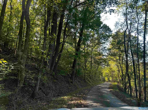 40 Roberts Rd, Prospect, TN 38477