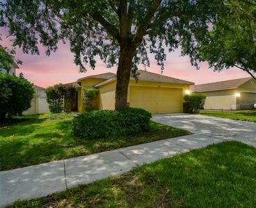 9551 Maxson Dr, Land O Lakes, FL, 34638