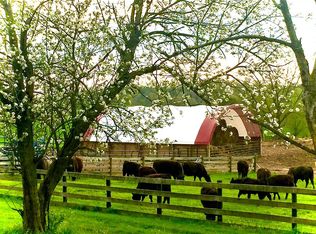 10047 Milford Rd, Falmouth, KY 41040