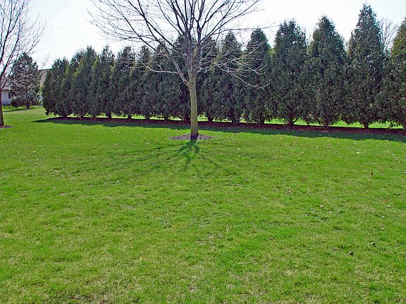 Lg backyard w/privacy hedge!