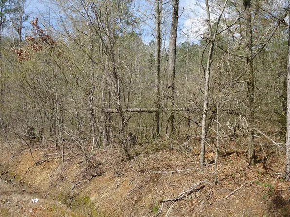 551 Grayton Rd S #0, Ohatchee, AL 36271